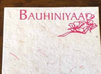 Bauhiniyaa